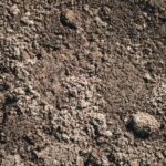 Washed Concrete Sand