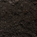 Screened Topsoil